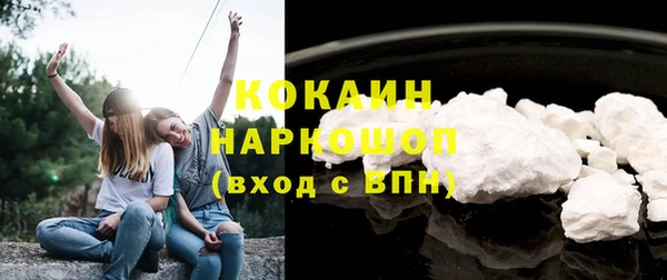 шишки Аркадак