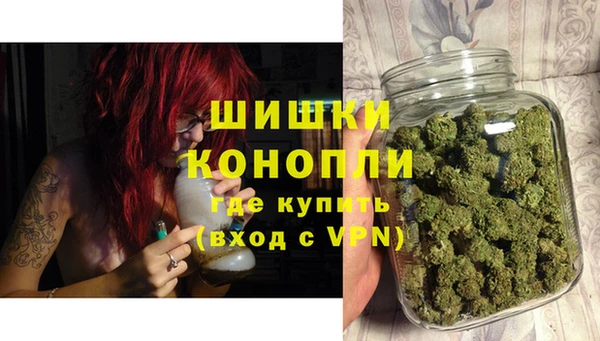 шишки Аркадак