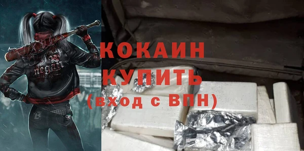 шишки Аркадак